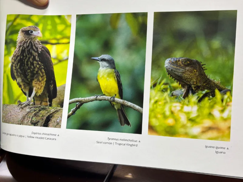 javeriana-librocop16-biodiversidad-cali javeriana-librocop16-biodiversidad-cali