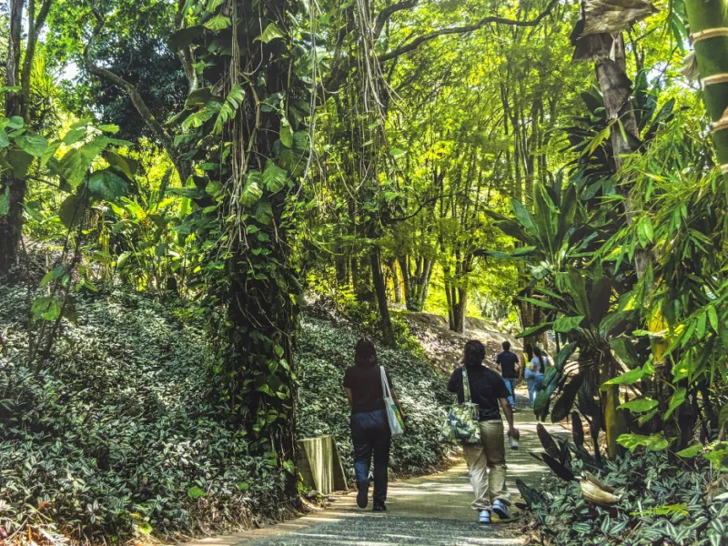 javeriana-librocop16-biodiversidad-cali javeriana-librocop16-biodiversidad-cali