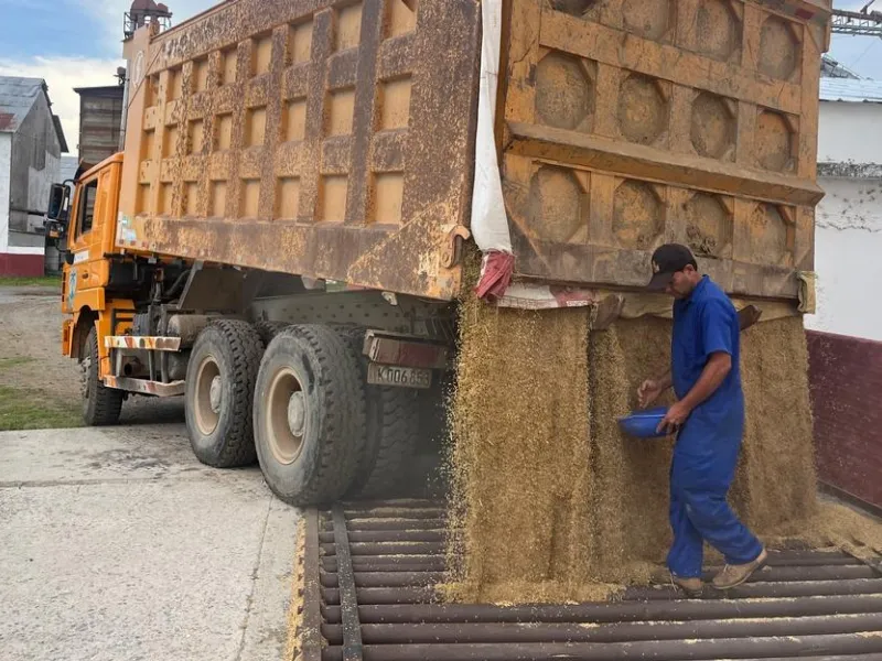 ImagenCap-NoticiaAgro1 ImagenCap-NoticiaAgro1