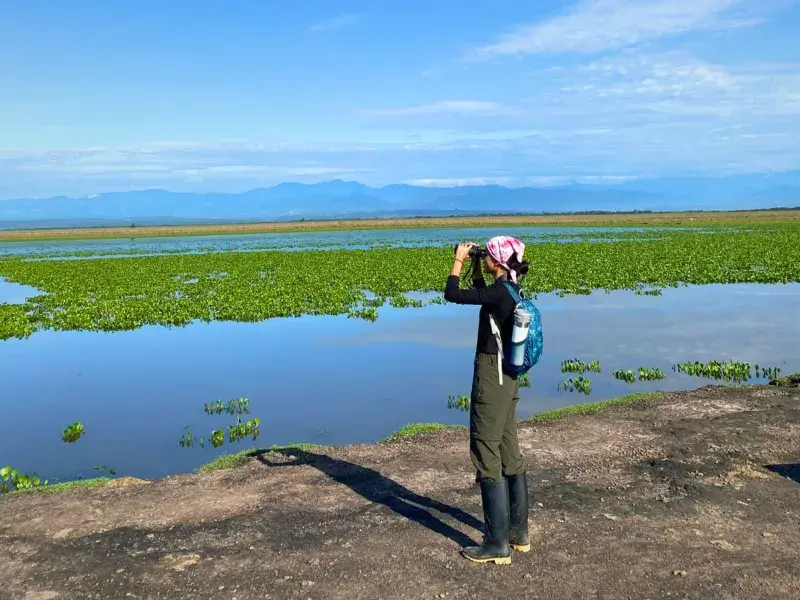¿Dónde vivirán las abejas en 44 años? Estudiante de la Javeriana Cali gana la beca Colombia Biodiversa para descubrirlo