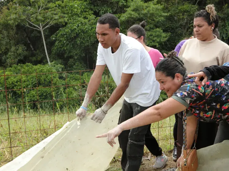 Se abren las inscripciones para el Diplomado en Educación y Gestión Ambiental 