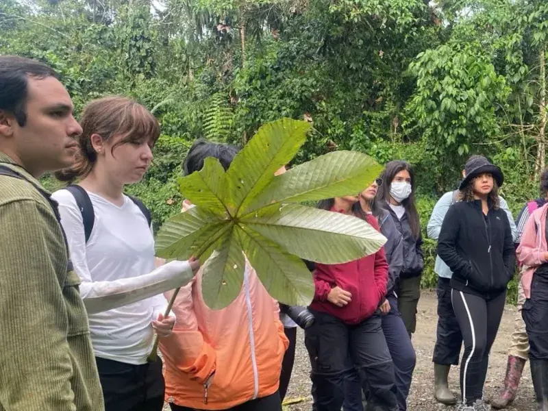 Restauración ecológica, el punto de encuentro entre las dos sedes de la Javeriana