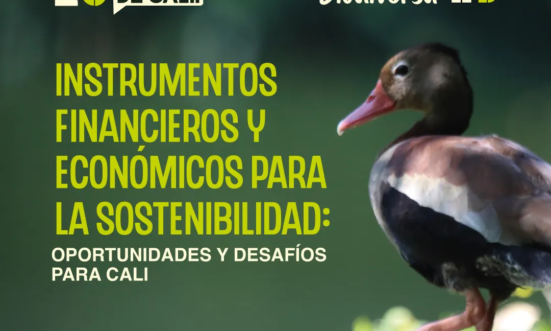 Instrumentos financieros y económicos para la sostenibilidad: oportunidades y desafíos para Cali