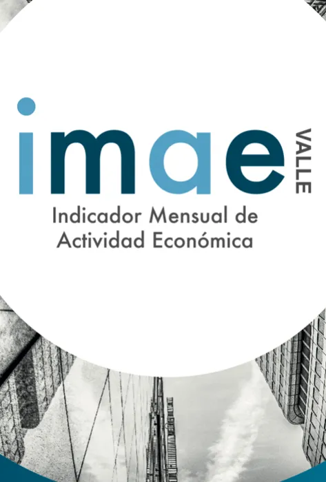 Economía del Valle se ubicó en -6,8% durante el 2020: IMAE