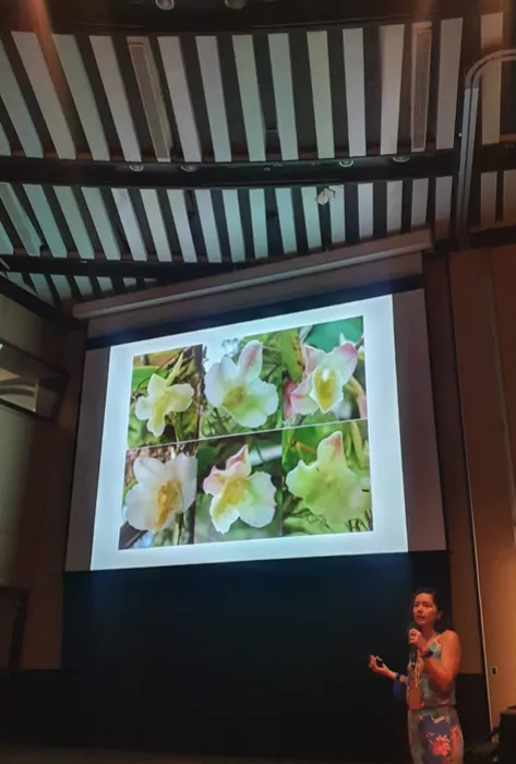 Estudio de profesora javeriana revela que fragmentación de los bosques afecta a población de orquídeas epífetas
