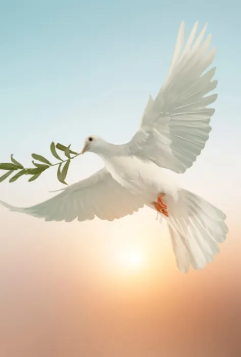 Una paloma con una rama de olivo volando libre, como símbolo de la paz. De fondo el amanecer.