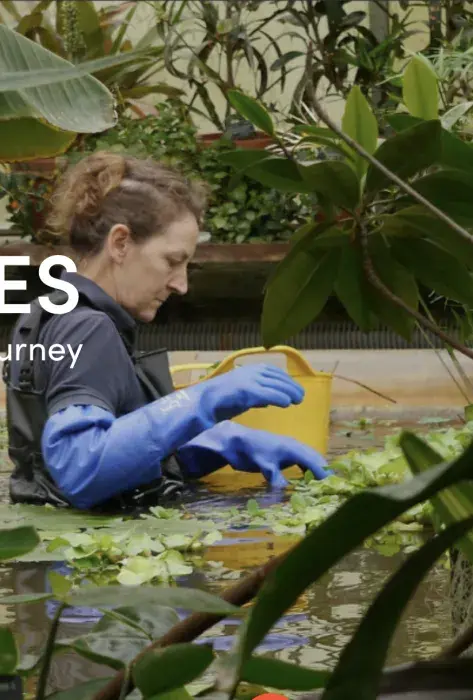 La Javeriana Cali se integra a la red global Nature Positive Universities 