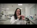 Embedded thumbnail for Doctorado en Ingeniería y Ciencias Aplicadas > Elementos adicionales de la página > Galería > Content Multimedia Gallery